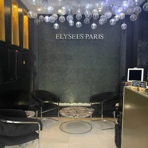 elysees.fr-paris.fr/